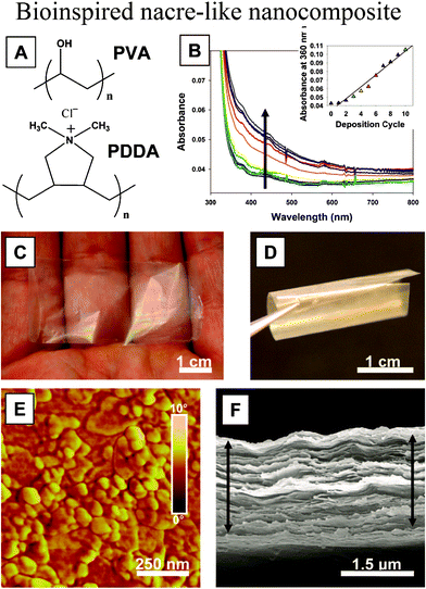 (a) Structure of PVA and PDDA polymers; (b) UV-vis spectra for the first 10 bilayers of deposition (arrow indicates increasing absorbance, inset represents absorbance at 360 nm as a function of the bilayer); (c, d) optical images of a free-standing film of (PVA–MTM)300 showing very high transparency and flexibility; (e) AFM phase image of a single PVA–MTM bilayer; (f) SEM image of the cross section of a 300-bilayer PVA–MTM composite showing its laminar architecture. The films in SEM can be slightly expanded due to separation of the layers resulting from the shearing force of the razor blade used for cutting the test samples.60