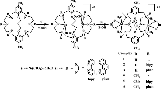 Synthesis of macrobicyclic dinuclear nickel(ii) complexes.