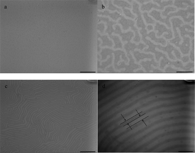 TEM images of PS-b-PEO diblock copolymer films: (a,b) film on water surface without solvent vapor annealing with various magnifications, (c,d) film on water surface under toluene vapor annealing for 24 h with various magnifications. The concentration of the polymer solution is 6.7 mg ml−1. Scale bar = 1700 nm for a, c, scale bar = 400 nm for b, d.
