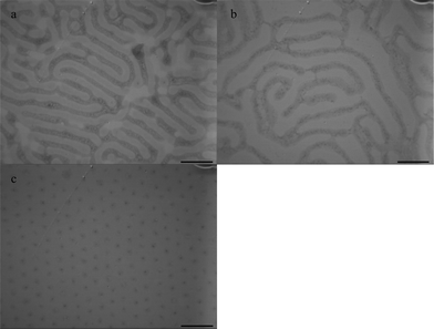 TEM images of PS-b-PEO diblock copolymer films on the water surface under chloroform vapor annealing for: a) 3 h, b) 6 h, c) 24 h. The concentration of PS-b-PEO solution is 10 mg ml−1. Scale bar = 400 nm.