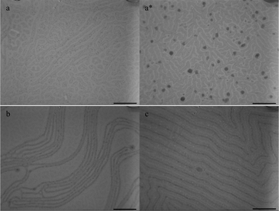 TEM images of PS-b-PEO nanohybrid films on water surface under toluene vapor annealing with 10 wt% C60: (a) PS-b-PEO/C60-PS, 2 h, (a*) PS-b-PEO/C60, 2 h, (b) PS-b-PEO/C60-PS, 6 h, (c) PS-b-PEO/C60-PS, 24 h. Scale bar = 900 nm.