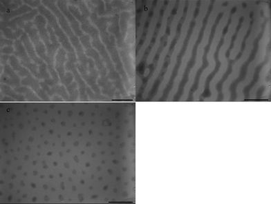 TEM images of PS-b-PEO nanohybrid films on water surface under chloroform vapor annealing with 10 wt% C60: (a) PS-b-PEO/C60-PS, 2 h, (b) PS-b-PEO/C60-PS, 6 h, (c) PS-b-PEO/C60-PS, 24 h. Scale bar = 400 nm.