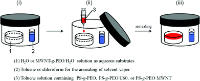 Schematic for the self-assembly of PS-b-PEO on the surface of pure water and water/MWNT-g-PEO solution under solvent vapor annealing: (i) saturated solvent vapor obtained by solvent evaporation, (ii) one drop of solution was placed onto the water surface after 1 h, (iii) PS-b-PEO film formation and solvent annealing.