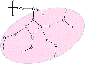 Schematic representation of the interaction of the PAA monomers with water molecules, through H-bonding.