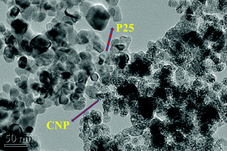 TEM image of P25CNP sample.