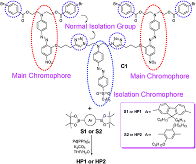 The synthesis of hyperbranched polymers HP1 and HP2.