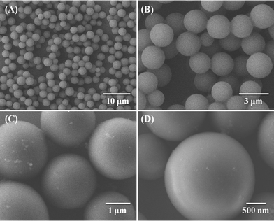 SEM images of PCPB-MS with different magnification.