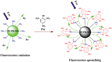 Schematic illustration of the fluorescence quenching detection of PA with PCPB-MS based on resonance energy transfer mechanism.