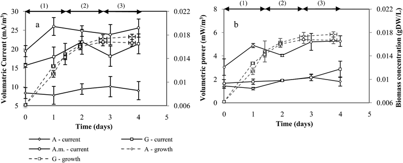 (a) Volumetric current at peak power (left) and (b) volumetric peak power (right) as a function of R. palustris growth and growth phase. μMFCs were run under ambient conditions with natural light over the period of a day. The current at peak power for R. palustris in A. maxima (A.m.), acetate (A) and glycerol (G) media was determined at an external resistance of 7.6–15, 15–33, 15–33 MΩ respectively. A 50 mM potassium ferricyanide catholyte was used. Growth phase: (1) linear growth phase; (2) linear-stationery phase transition; (3) stationery growth phase.