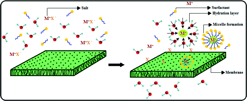 Schematic representation of the salt removal using anionic surfactant by PES–PAI blend nanofiltration membranes.