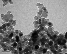 Transmission electron microscopy image of the TiO2 nanoparticles.