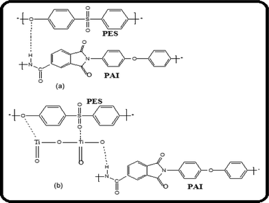 Schematic representation of the intermolecular interactions between the components in (a) PES–PAI and (b) PES–PAI–TiO2 blend membranes.