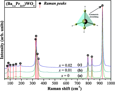 FT-Raman spectra in the range from 50 to 1000 cm−1 of the (Ba1-xPr2x/3)WO4 crystals precipitated at room temperature: (a) x = 0; (b) x = 0.01, and (c) x = 0.02. The vertical lines indicate the positions and relative intensities of Raman-active modes and inset shows the symmetric stretching of ←O←W→O→ bonds.