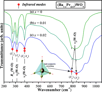 FT-IR spectra in the range 50 to 1000 cm−1 of the (Ba1-xPr2x/3)WO4 crystals precipitated at room temperature: (a) x = 0; (b) x = 0.01, and (c) x = 0.02. The vertical lines dotted indicate the positions and relative intensities of infrared-active modes and inset shows the anti-symmetric stretching →O→W→O→ bonds.