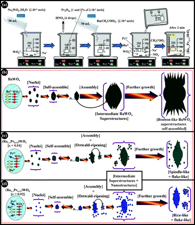 Schematic representation of the growth mechanism for the (Ba1-xPr2x/3)WO4 crystals precipitated at room temperature: (a) chemical synthesis (coprecipitation method) and all the stages involved in the growth process of the [(b) x = 0, (c) x = 0.01, (d) x = 0.02)] bonbon-, spindle-, rice-like and flake-like crystals precipitate.