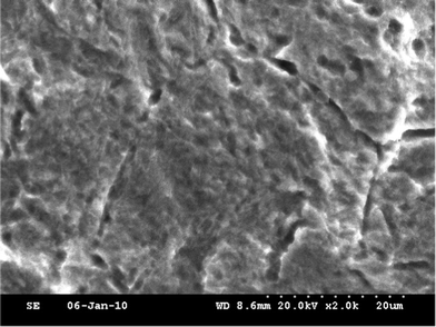 A SEM image of graphene.