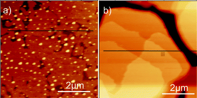 Atomic force microscopy micrographs of spin coated films prepared from a 0.21 mg ml−1 solution (a) and from a 2.79 mg ml−1 solution (b). The height profiles along the horizontal black lines are discussed in the text.