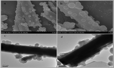 FE-SEM image of ZnO-MIPs A at low magnification (a), FE-SEM image of ZnO-MIPs at a higher magnification (b), TEM images of ZnO-MIPs (c, d).