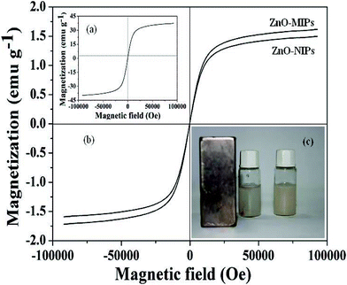 Magnetization curves at room temperature of γ-Fe2O3 (a), ZnO-MIPs A and ZnO-NIPs B (b). ZnO-MIPs A suspended in water (right) and in the presence (left) of an externally placed magnet (c).