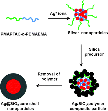 functionalized core shell nanoparticles