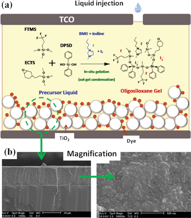 (a) Scheme for the fabrication of the DSSC using an in situ sol–gel reaction of silane monomers in a pre-filled liquid electrolyte. (b) Cross-sectional scanning electron microscopy (SEM) images of the TiO2 film containing the gelled oligosiloxane electrolyte.