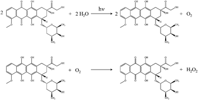 Reactions of doxorubicin. Top: Doxorubicin photoreduction to form the corresponding dihydroquinone and O2. Bottom: Oxidation of the dihydroquinone to form doxorubicin and H2O2.