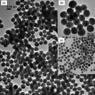 TEM images of (a) nAu with mean diameter 51.5 nm ± 3.7 nm on a wide field view, (b) its magnified view, and (c) nAu with mean diameter 10.03 nm ± 1.0 nm, which serves as a seed for the fabrication of 50 nm nAu.