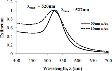 UV-visible extinction spectra of nAu solution with mean diameter 10 nm (dashed line) and 50 nm (solid line). Both are normalized to their extinction peak maxima. The bandwidth (FWHM, II) for 51.5 ± 3.7 nm nAu is 78 nm.