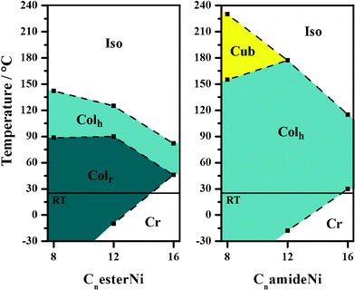 Thermal behaviour of CnesterNi and CnamideNi complexes as a function of chain length (n = 8, 12, 16) (room temperature (RT) = 25 °C).