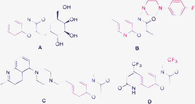 Some biologically important compounds containing 1,4-benzooxazinone or 1,4-pyridooxazinone scaffold.