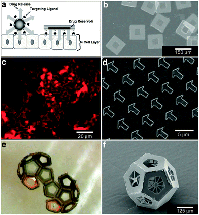 Lithographically-structured and self-assembled containers. (a) Schematic representation of a spherical particle and lithographically-fabricated microdevice interface with intestinal epithelial cell surface. This illustration displays the advantages of a microfabricated drug delivery particle over traditional spherical particles: asymmetric release of drug, multi-site targeting for flow stability, and drug reservoir protection can be engineered into the design of the microdevice. (Reprinted from ref. 100 with permission from The Royal Society of Chemistry). (b) Light micrograph of detached SU-8 microdevices without hydrogel. (Reprinted from ref. 100 with permission from The Royal Society of Chemistry). (c) Fluorescence images of cubic (side length 2 μm), Doxorubicin-loaded Trojan horse particles produced using the PRINT technique. (Reprinted with permission from ref. 106. Copyright (2008) by The American Chemical Society). (d) Manipulation of shape using PRINT: 3 μm arrow PEG particles. (Reprinted with permission from ref. 104. Copyright (2005) by The American Chemical Society). (e) Video snapshots featuring the hierarchical self-assembly of a 500 μm dodecahedron. (Reprinted with permission from ref. 111. Copyright (2009) by IOP Publishing Ltd.). (f) An SEM image of a folded 3D dodecahedron container featuring anisotropic surface patterning (i.e., different specific desired patterns on each panel). (Reprinted with permission from ref. 111. Copyright (2009) by IOP Publishing Ltd.).