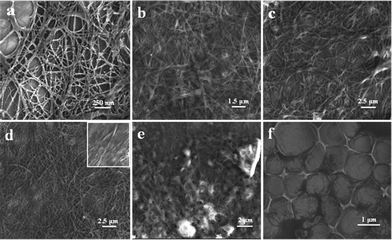 FESEM images of xerogels of 1 in chloroform (a), carbontetrachloride (b), hexane (c), toluene, inset showing bundled nanoribbon structures (d), 2 in toluene (e), and ordered microporous hierarchical arrays of 2 in chloroform (f).