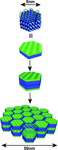 Stepwise formation of mesocrystals induced by the site specific interaction of carboxylate modified macromolecules (green) with the zinc terminated, polar [002] surface. The inorganic, ZnO parts are plotted in blue in order to highlight the amphiphilic properties.