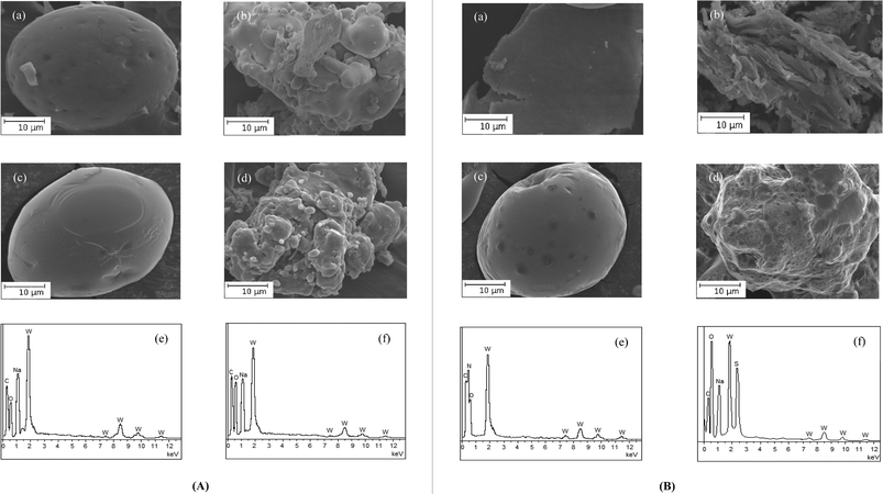 (A) Scanning electron micrographs of (a) PA, (b) PAW, (c) PMA and (d) PMAW. EDX spectra of (e) PAW and (f) PMAW. (B) Scanning electron micrographs of (a) PAm, (b) PAmW, (c) PVS and (d) PVSW. EDX spectra of (e) PAmW and (f) PVSW.