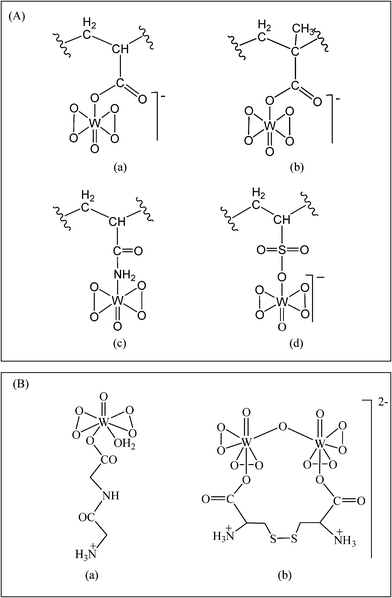 Peroxotungsten compounds under investigation in the current study. (A) Proposed structures of polymer-anchored compounds, (a) PAW, (b) PMAW, (c) PAmW and (d) PVSW. “” represents the polymer chain. (B) Structures of (a) MWG9b and (b) DWC.9c