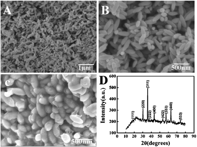 (A) and (B) SEM image of Fe2O3 nanospindles at different magnifications; (C) SEM images of carbon coated Fe3O4 nanospindles; (D) XRD pattern of the sample, which is indexed to Fe3O4 (JCPDS no. 74-748).