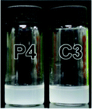 Photographs of the P4–NH2–Fe–BLM and C3–NH2–Fe–BLM samples in PBS pH 7.4.