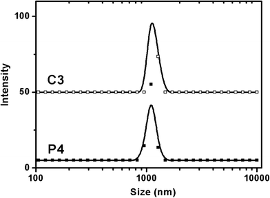 Dynamic light scattering data of P4–NH2–Fe–BLM and C3–NH2–Fe–BLM samples.
