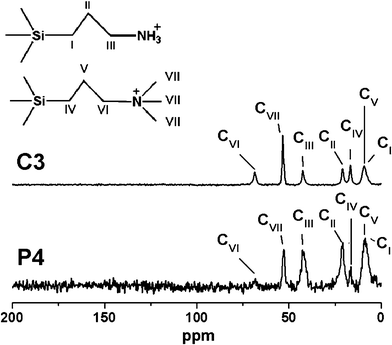 The Solid state 13C CP MAS NMR spectra of P4 and C3 samples.