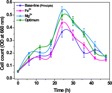 Growth curve of the biocatalyst during operation with Fe2+, Mg2+ and optimum conditions in comparison with the Base-line (principle) condition.