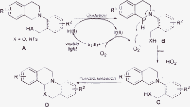 Photocatalytic oxidation/functionalization sequence.