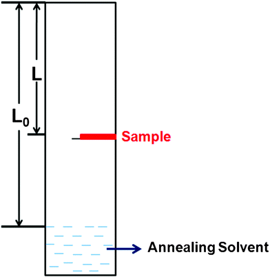 The schematic setup used in the solvent vapor annealing procedure.