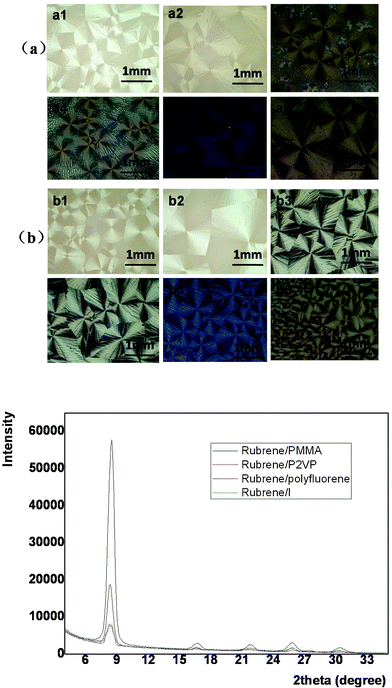 POM images of different rubrene/polymer films (17% polymer) after annealing in (a) CH2Cl2 and (b) CS2 vapors for 12 h, respectively. The vapor pressure was kept as P = 0.50 for both solvents. The blend films are (a1, b1) rubrene/polyfluorene, (a2, b2) rubrene/polyfluorene derivative I, (a3, b3) rubrene/P2VP, (a4, b4) rubrene/PMMA, (a5, b5) rubrene/P3HT and (a6, b6) rubrene/PS. GIXD result is also shown.