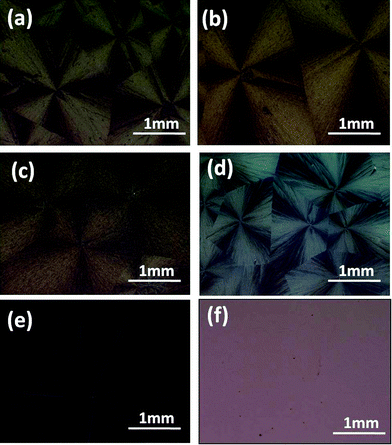 POM images of rubrene/PS films with different PS ratios after being annealed in CH2Cl2 vapor for 12 h. PS ratios are (a) 10, (b) 17, (c) 30, (d) 50, (e) 65 and (f) 85%, respectively.
