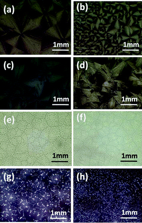 POM images of rubrene/PS films (17% PS) after annealed in (a) CH2Cl2, (b) CS2, (c) toluene, (d) chlorobenzene, (e) chloroform, (f) THF, (g) methanol and (h) acetone vapors for 12 h, respectively.