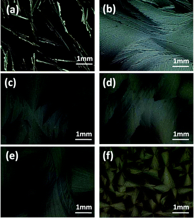POM images of rubrene/PS (17% PS) films after annealing in CS2 vapor for 12 h. The vapor pressures are (a) 0.95, (b) 0.87, (c) 0.80, (d) 0.70, (e) 0.60 and (f) 0.50, respectively.