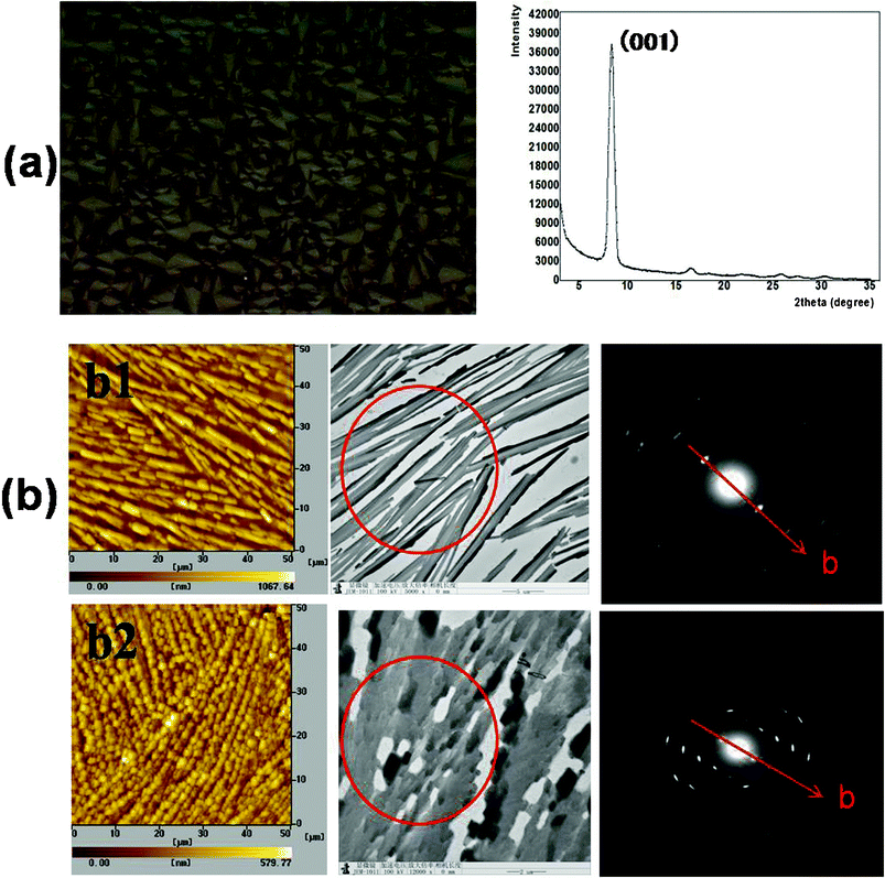 GIXD, AFM, TEM and SAED characterizations of rubrene spherulites. (a) GIXD result for the spherulites obtained by annealing rubrene/PS (17% PS) film in CS2 vapor for 12 h. The left picture is the corresponding POM images. (b) AFM, TEM images and SAED patterns of rubrene spherulites fabricated by annealing in (b1) CH2Cl2 and (b2) CS2 vapors for 12 h, respectively. The red circles indicate the selected zones for SAED characterization.