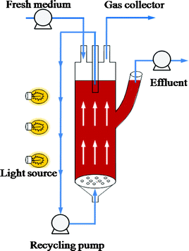 Schematic diagram of the anaerobic fluidized bed photo-reactor.