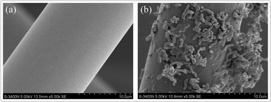 SEM images of the surface of ACF: (a) before immobilization and (b) after immobilization (magnification: 5000×).