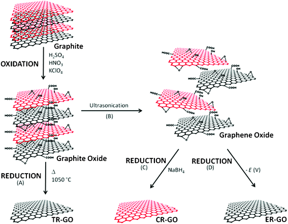 Schematic of the production of CMGs from graphite. Graphite was first oxidized to graphite oxide. Thermal reduction and exfoliation (A) of graphite oxide led directly to TR-GO. Graphite oxide was ultrasonicated (B) to generate graphene oxide, following which the chemical reduction (C) of graphene oxide yielded CR-GO. Alternatively, graphene oxide was electrochemically reduced (D) to afford ER-GO.